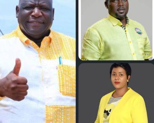 Cash, Power and Allegations of Mismanagement: Questions Mount Over NRM Secretariat Finances